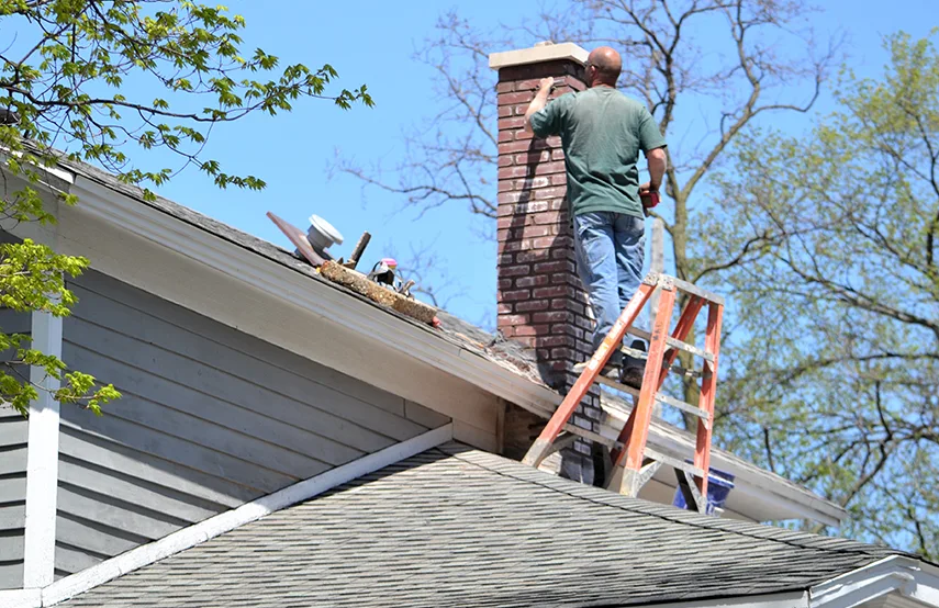 Chimney & Fireplace Inspections Services in Roselle, IL